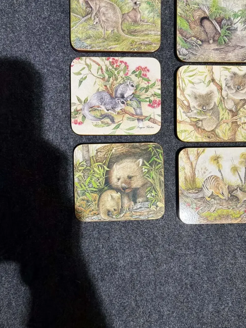 Set of 6 Vintage Dynasty Australia Wildlife Coasters